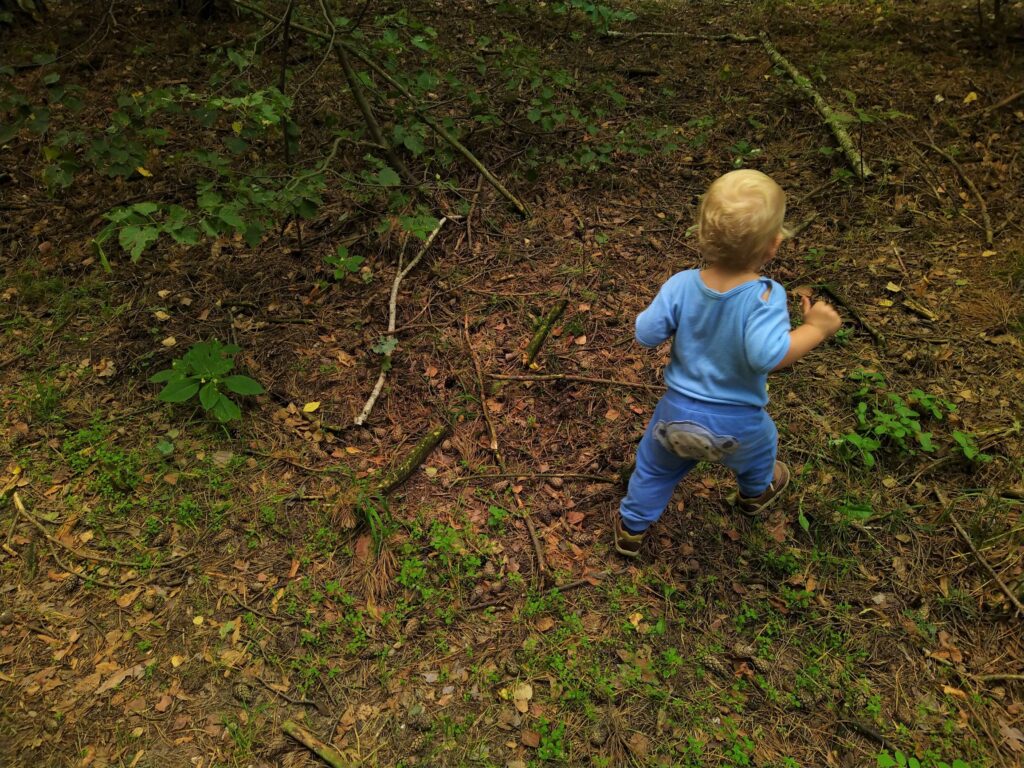 zdj. wł. Tor przeszkód 