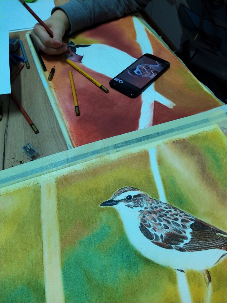 zdj. wł. Rysowanki ;)