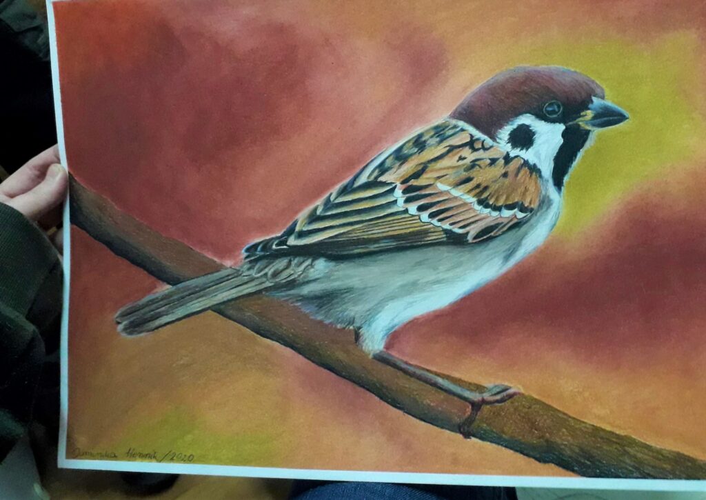 Mazurek, rys. Dominika Hennik