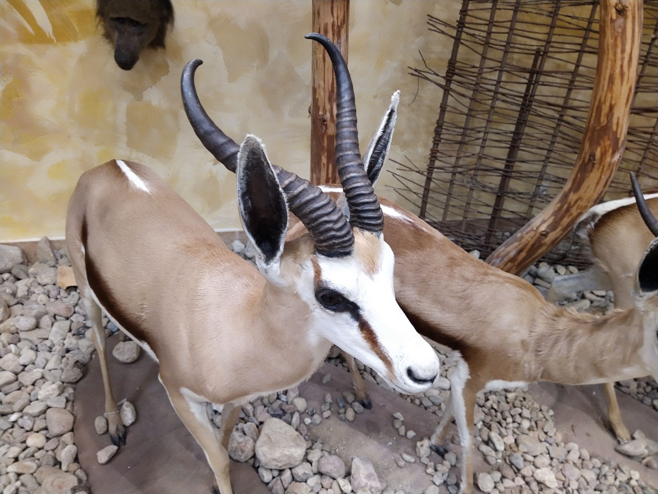 Muzeum Przyrodniczo-Łowieckie w Uzarzewie