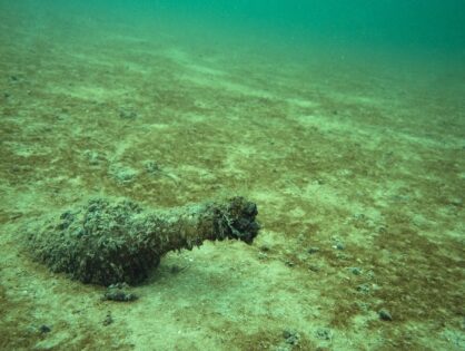 Małże słodkowodne 2. Zagrożenia i ochrona